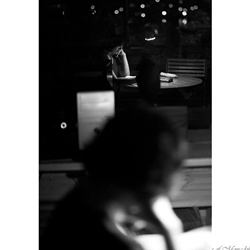 dailyPhoto30